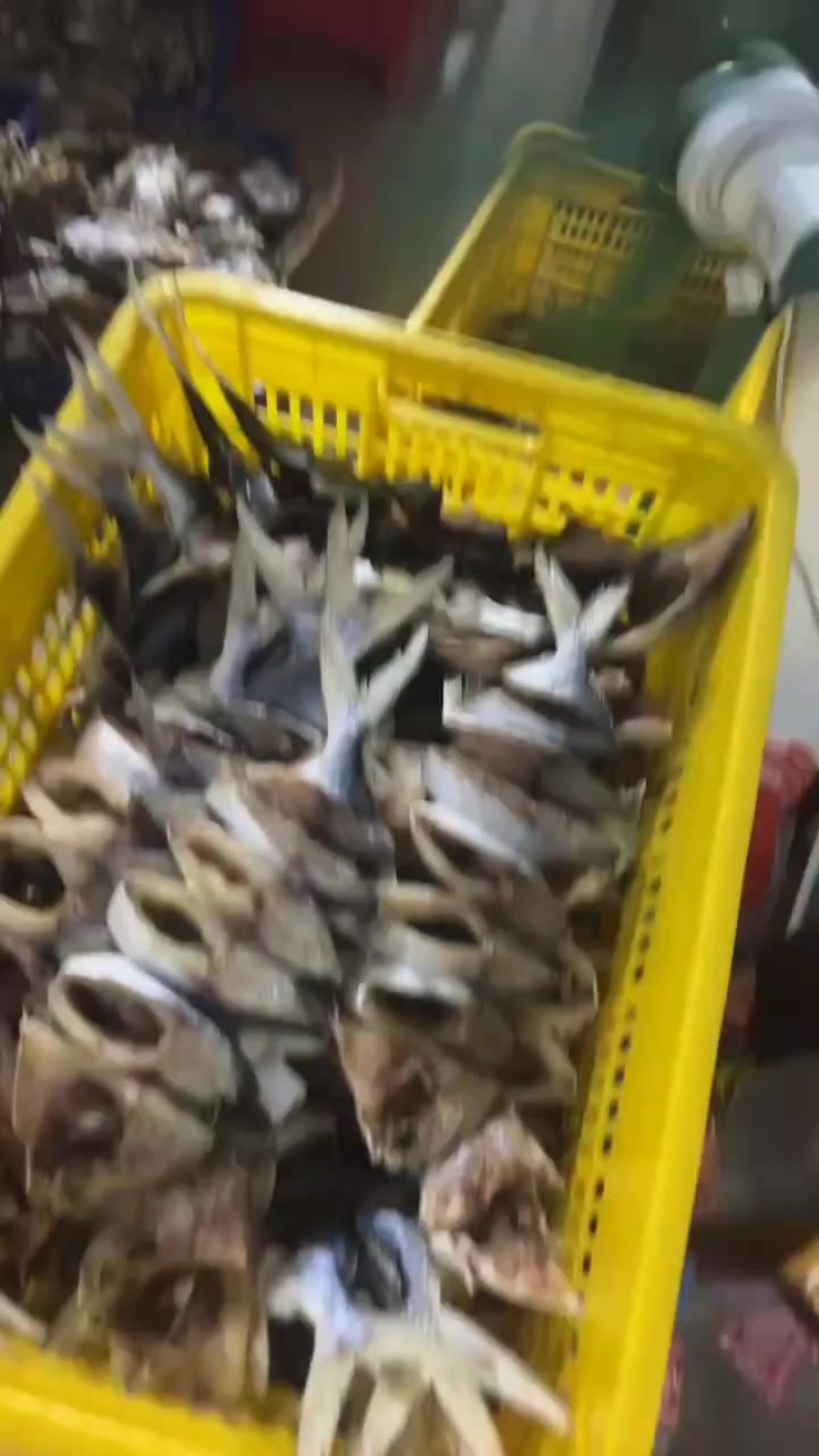 深海最正宗金鲳鱼干，自家捕捞，码头自晒。大宗批发