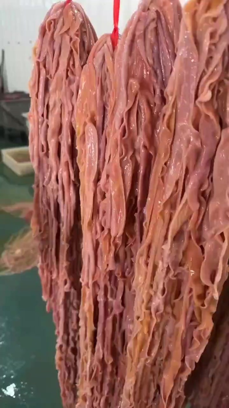 新鲜鸭肠