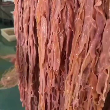 新鲜鸭肠