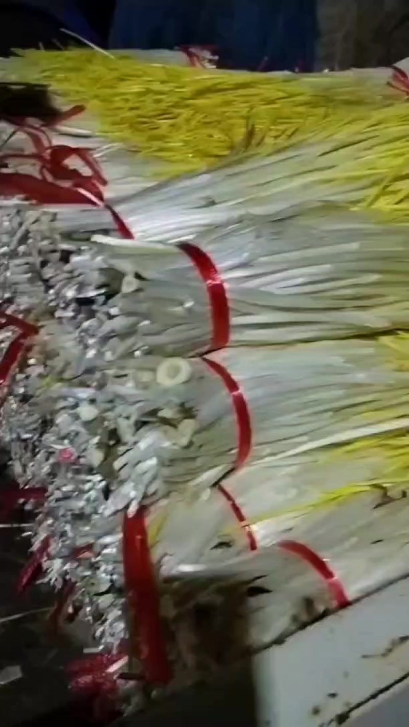 山东临沂蔬菜-葱蒜类-蒜黄持续走货提供食宿一件代发