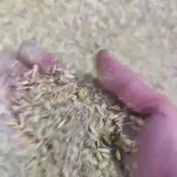 各种秸秆，糠