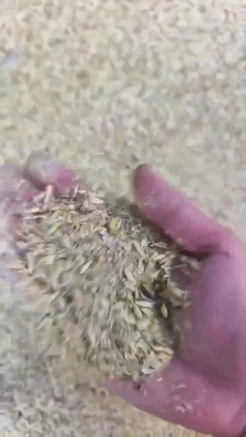 各种秸秆，糠
