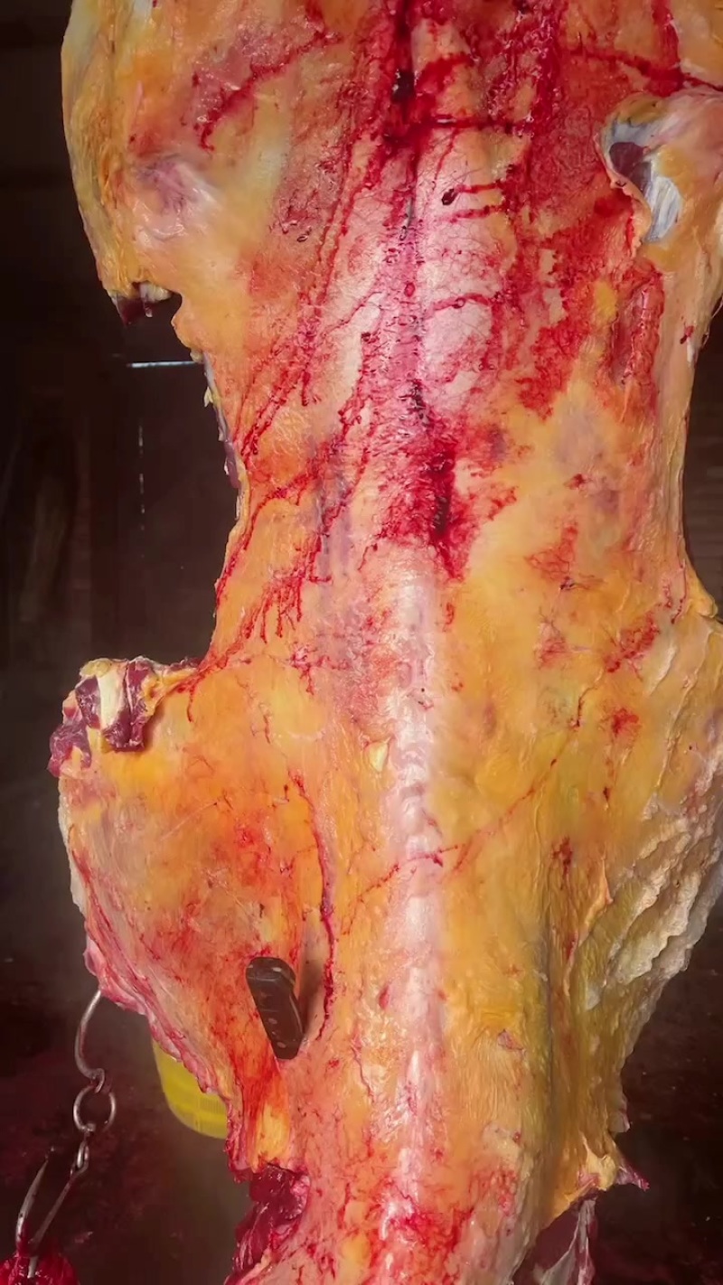 黄标牛排
