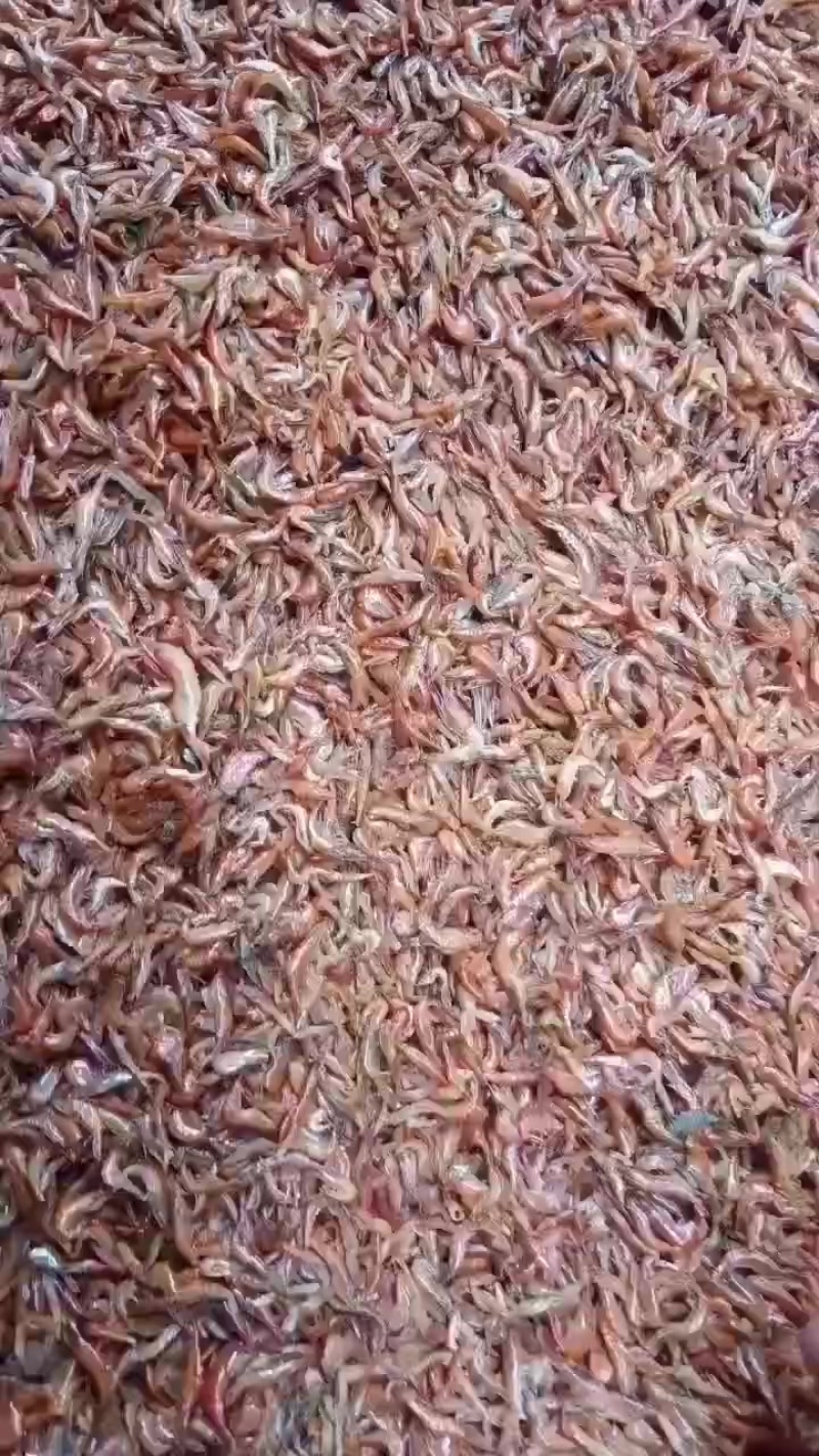 烘烤河虾
