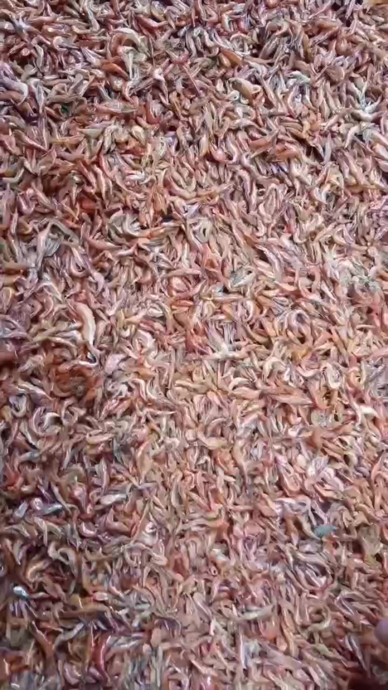 烘烤河虾
