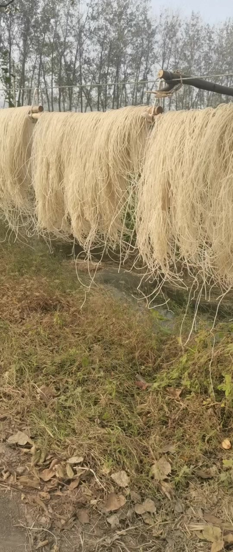 纯手工粉条
