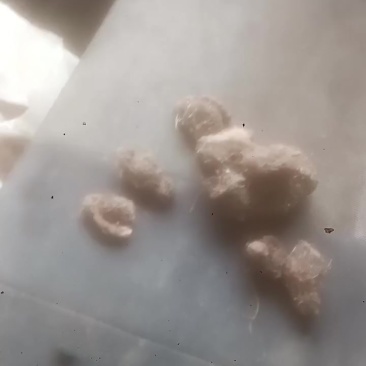 中药材紫莼