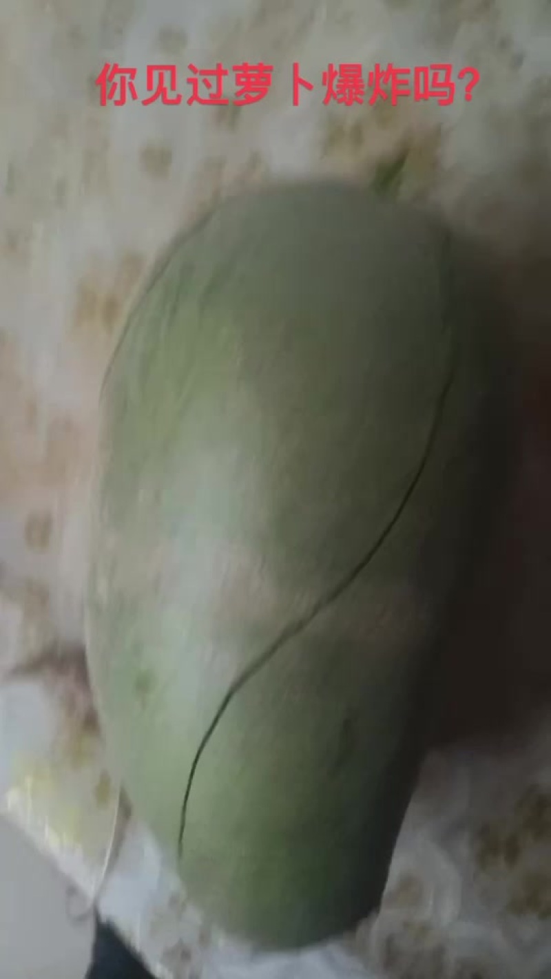 有需要沙窝萝卜的老板可以联系我***********