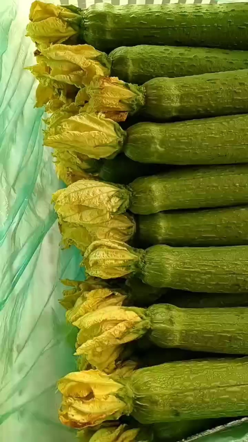 丝瓜鲜花丝瓜落价了
