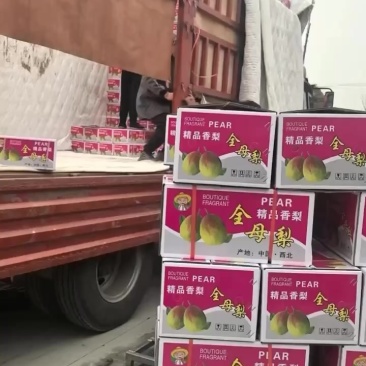 礼盒香梨，市场，超市，福利，批发，零售，需要的联系