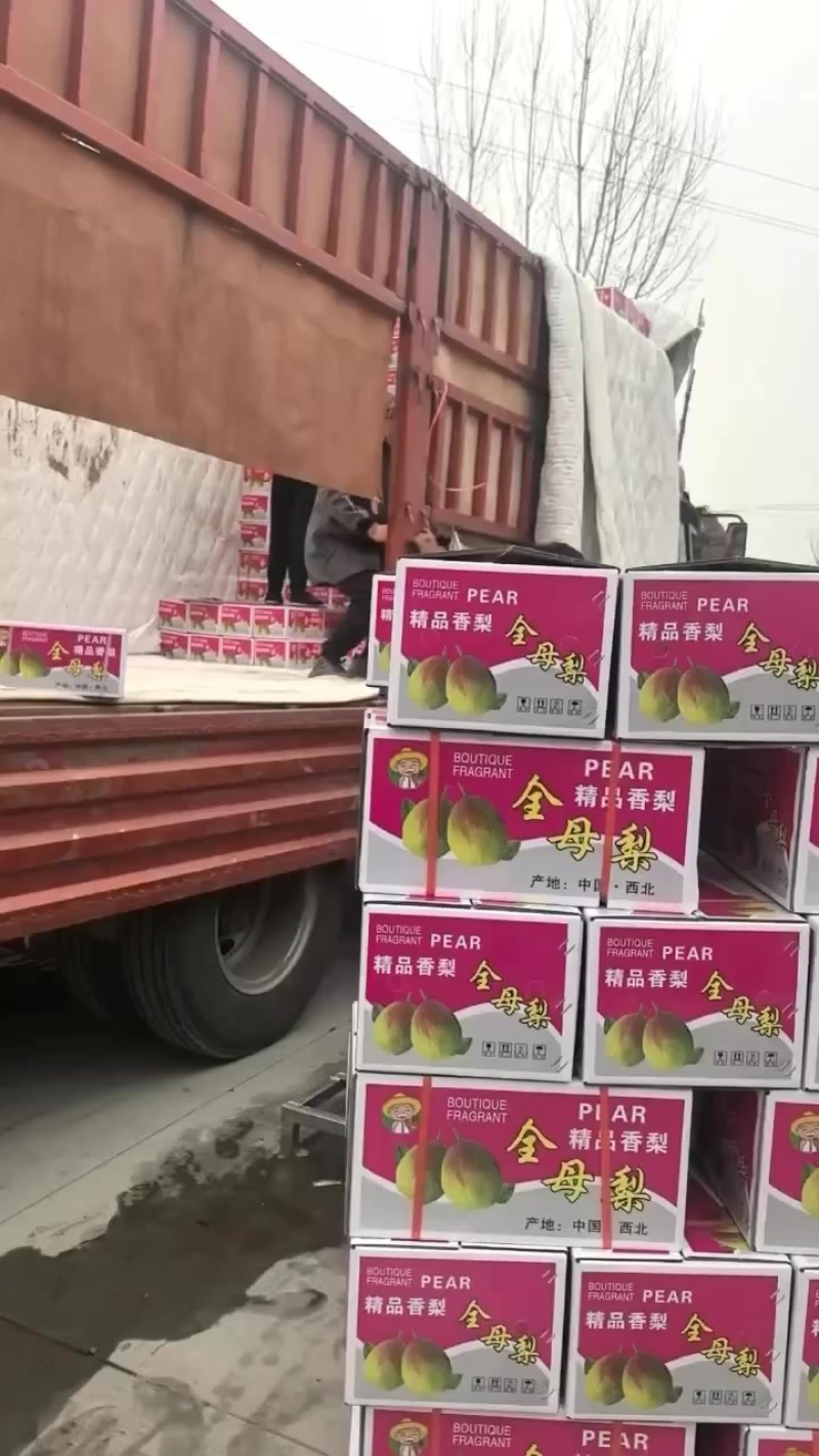 礼盒香梨，市场，超市，福利，批发，零售，需要的联系