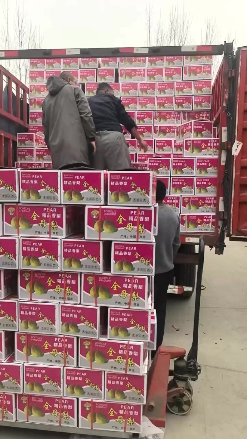 礼盒香梨，市场，超市，福利，批发，零售，需要的联系