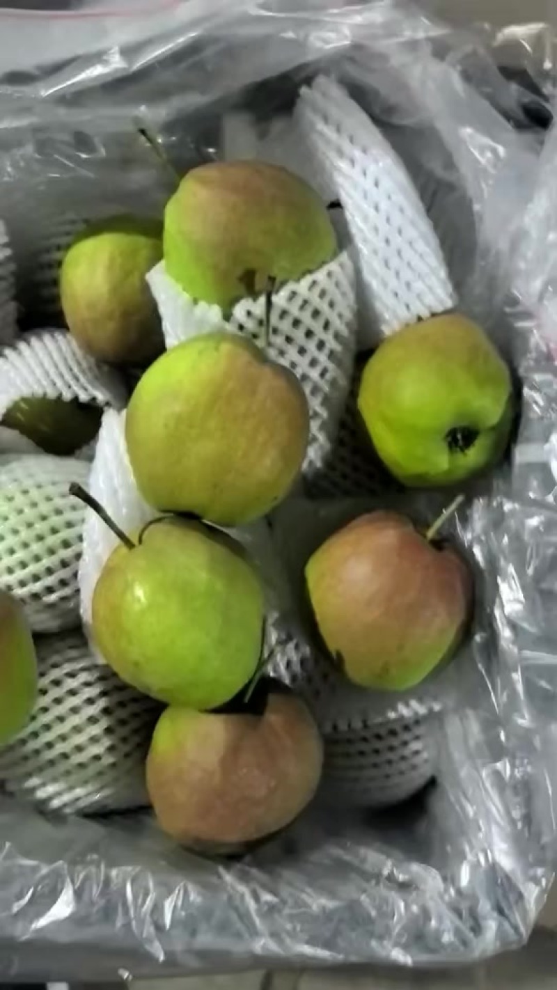 礼盒香梨，市场，超市，福利，批发，零售，需要的联系
