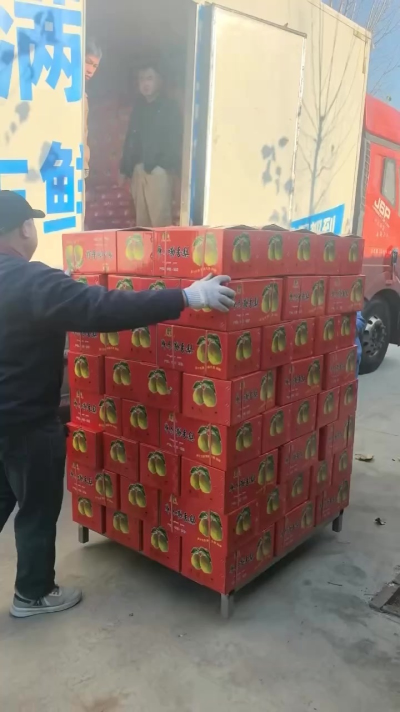 礼盒香梨，市场，超市，福利，批发，零售，需要的联系