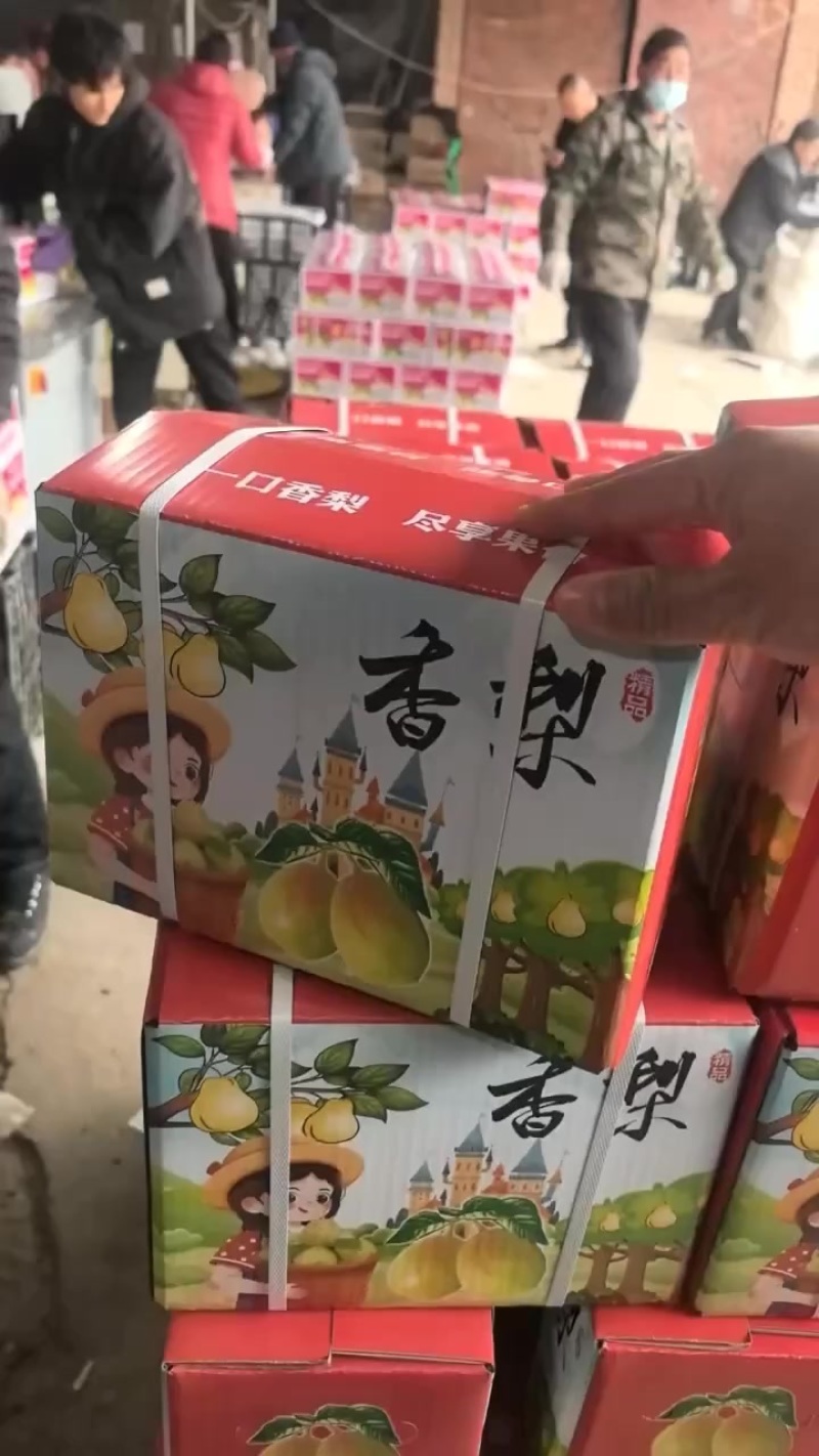 礼盒香梨，市场，超市，福利，批发，零售，需要的联系