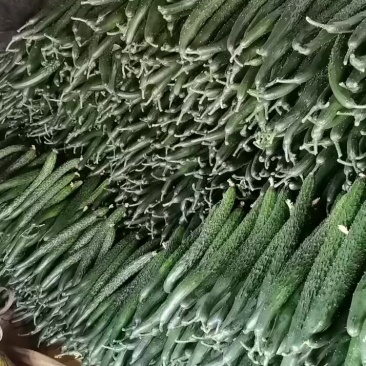 元谋黄瓜