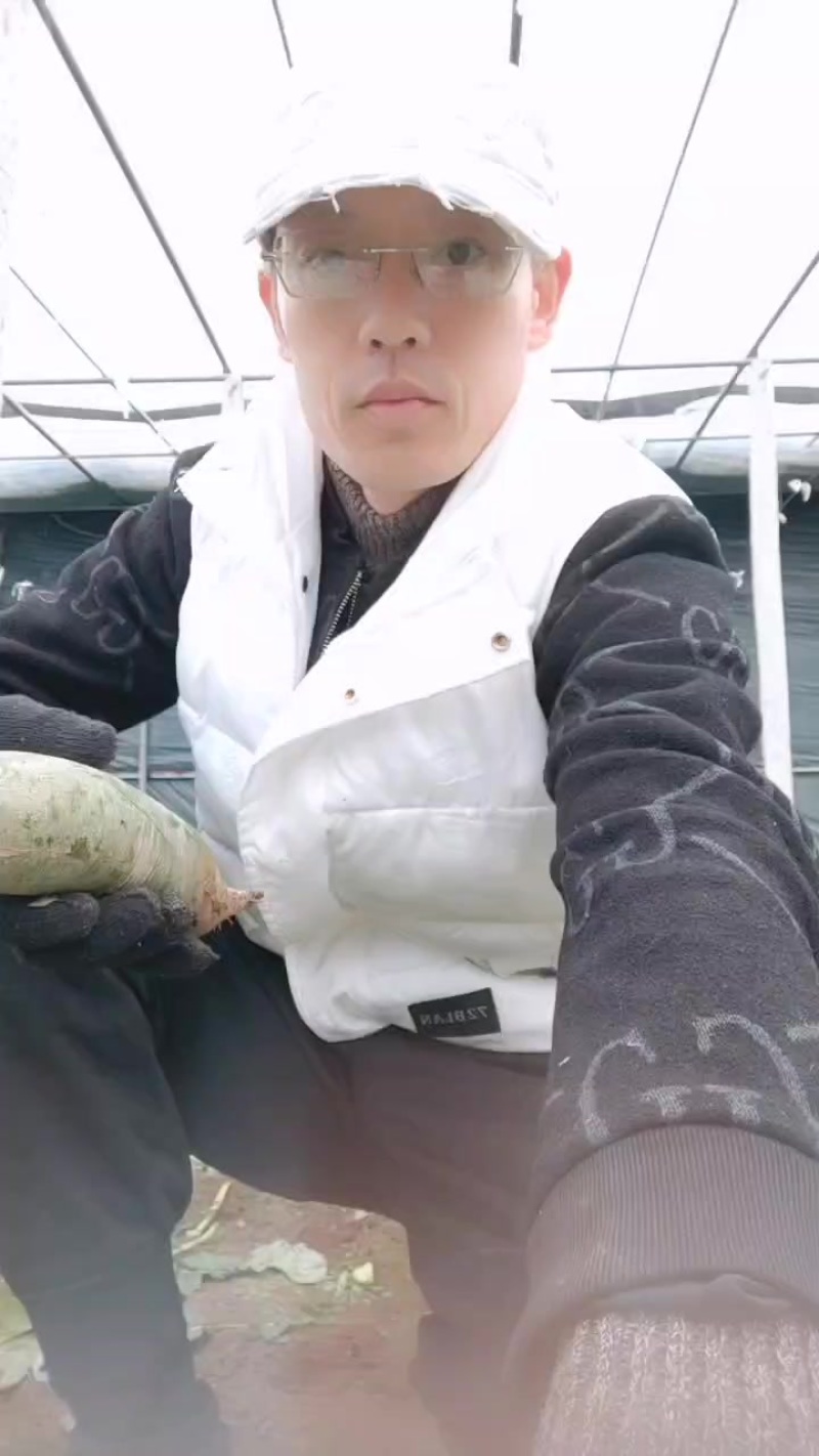 想吃到真正赛鸭梨口感的沙窝萝卜就选金星萝卜