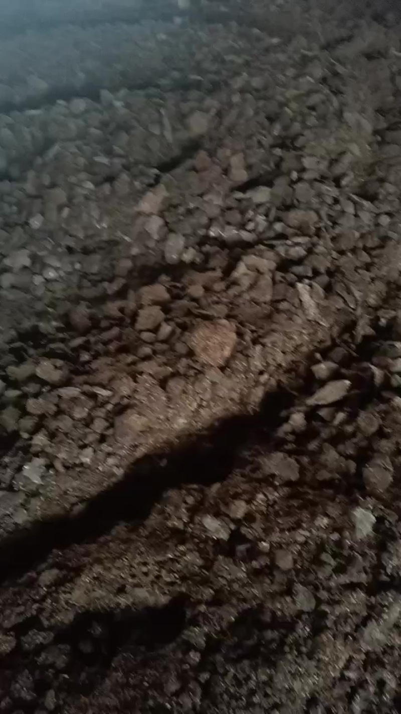石林本地优质鸡屎