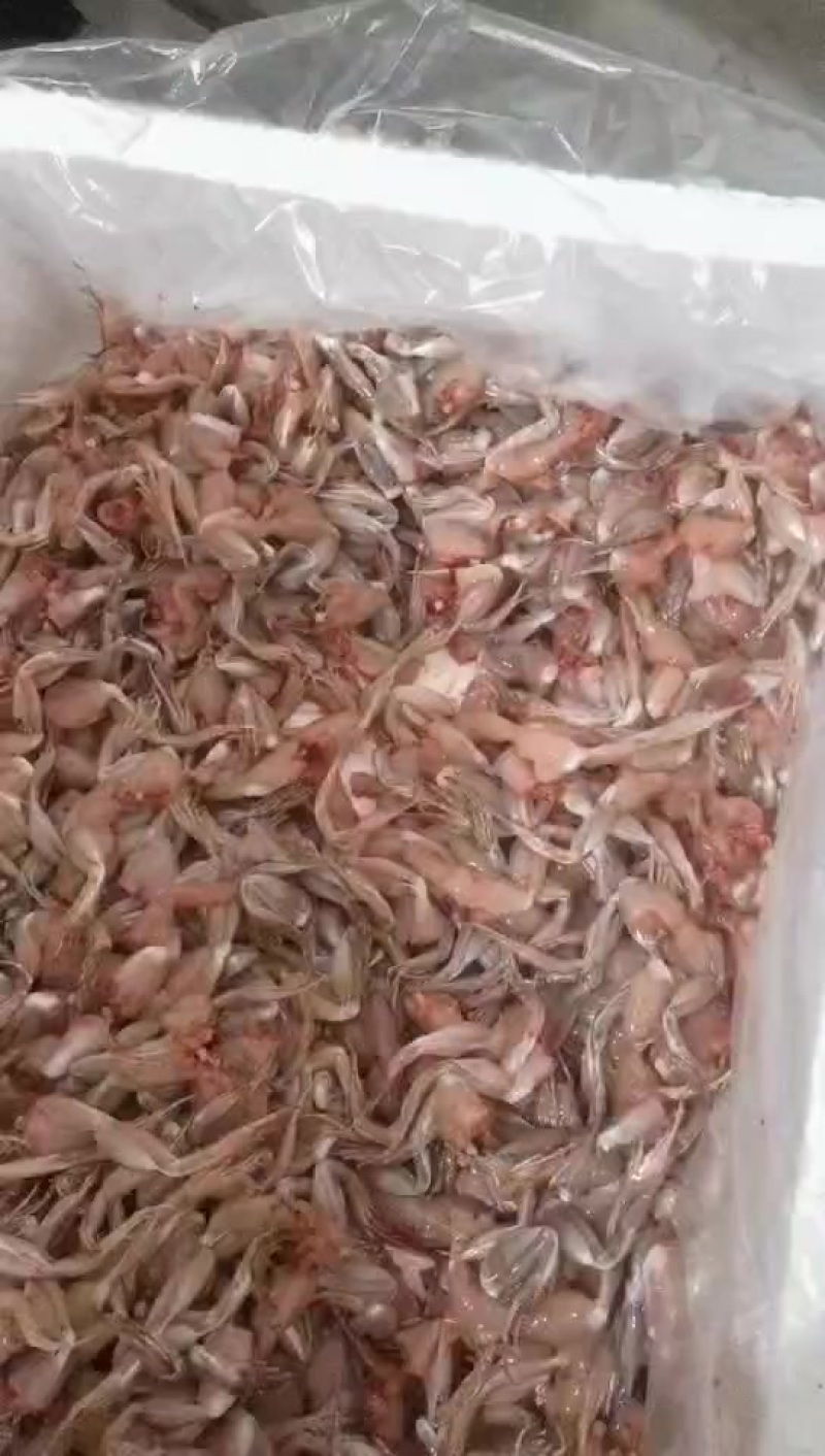 新鲜活杀青蛙腿肉，液氮锁鲜技术，无冰衣