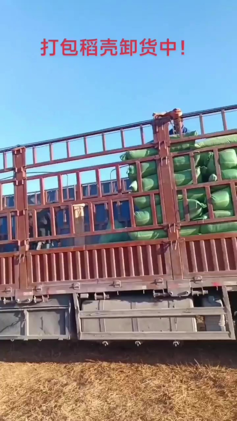 打包稻壳卸货中
