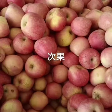 烟台栖霞红富士苹果次果大量出库！质量很好！！