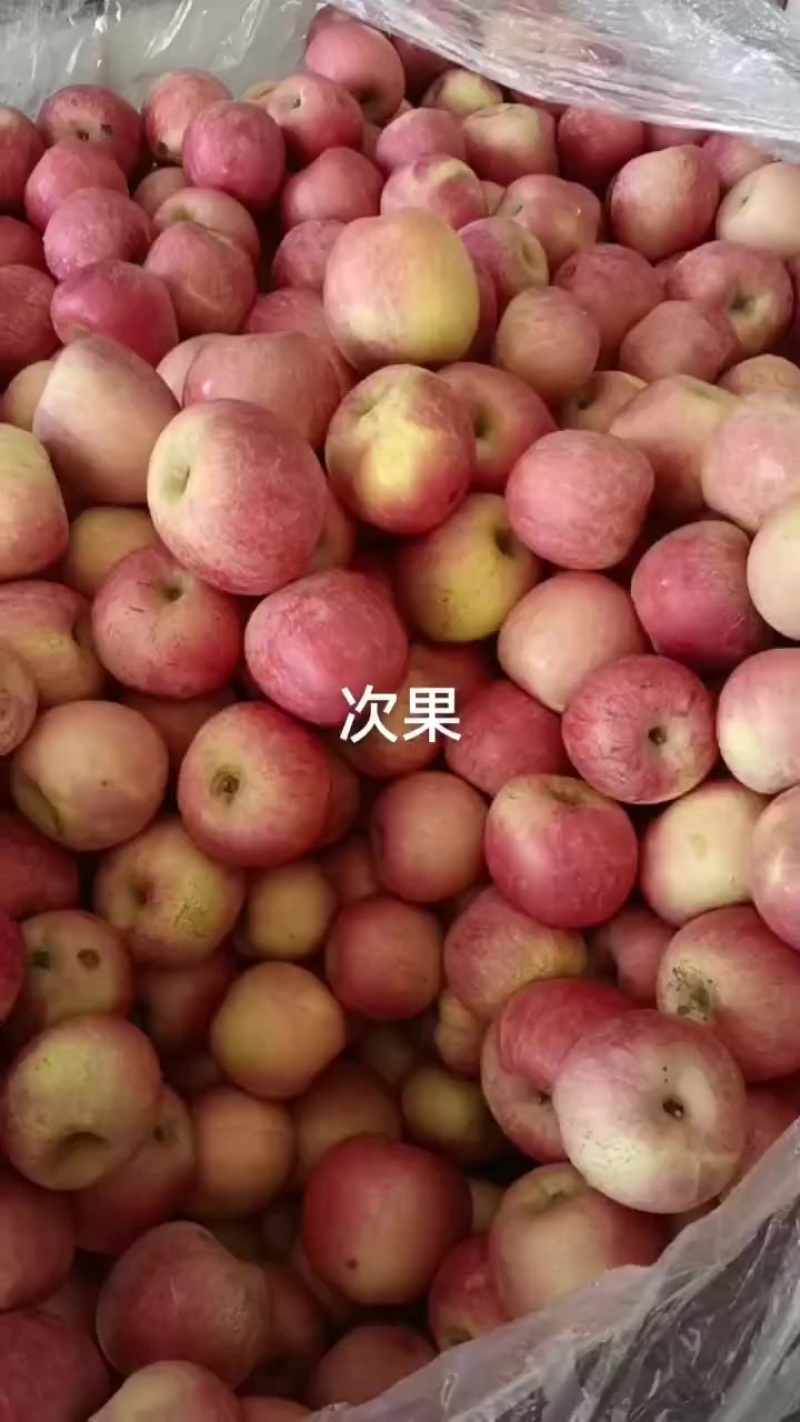 烟台栖霞红富士苹果次果大量出库！质量很好！！