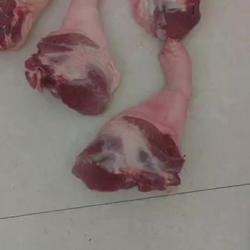 手踭