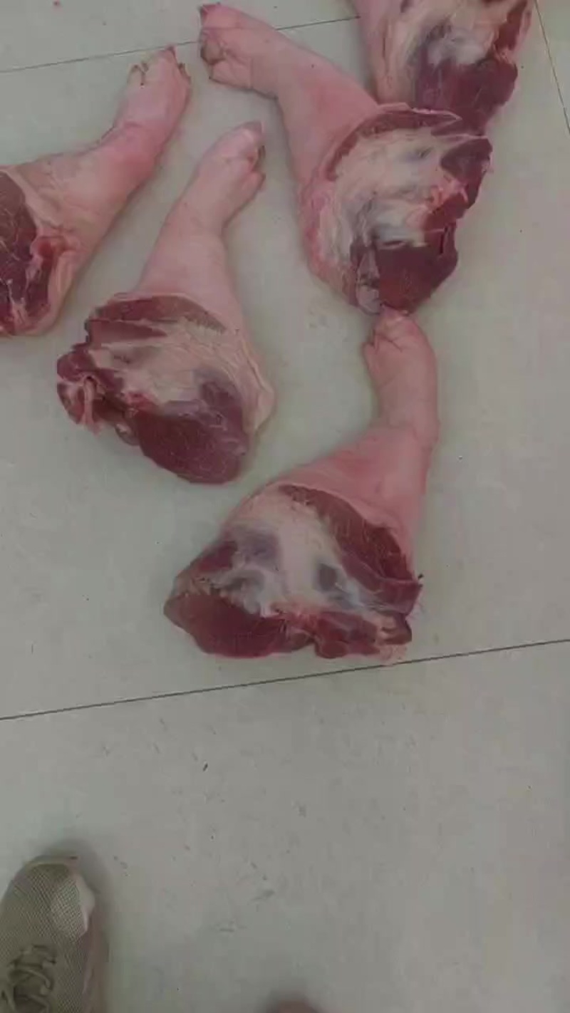 手踭