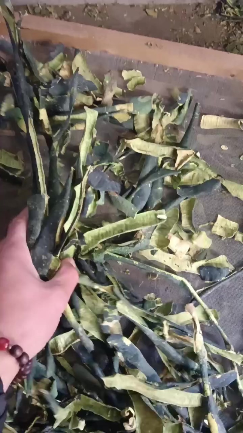 冬瓜皮