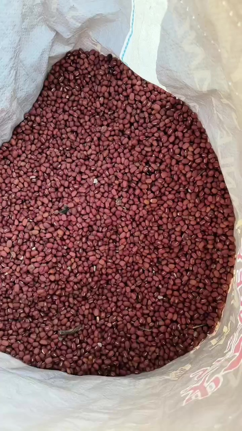 红小豆