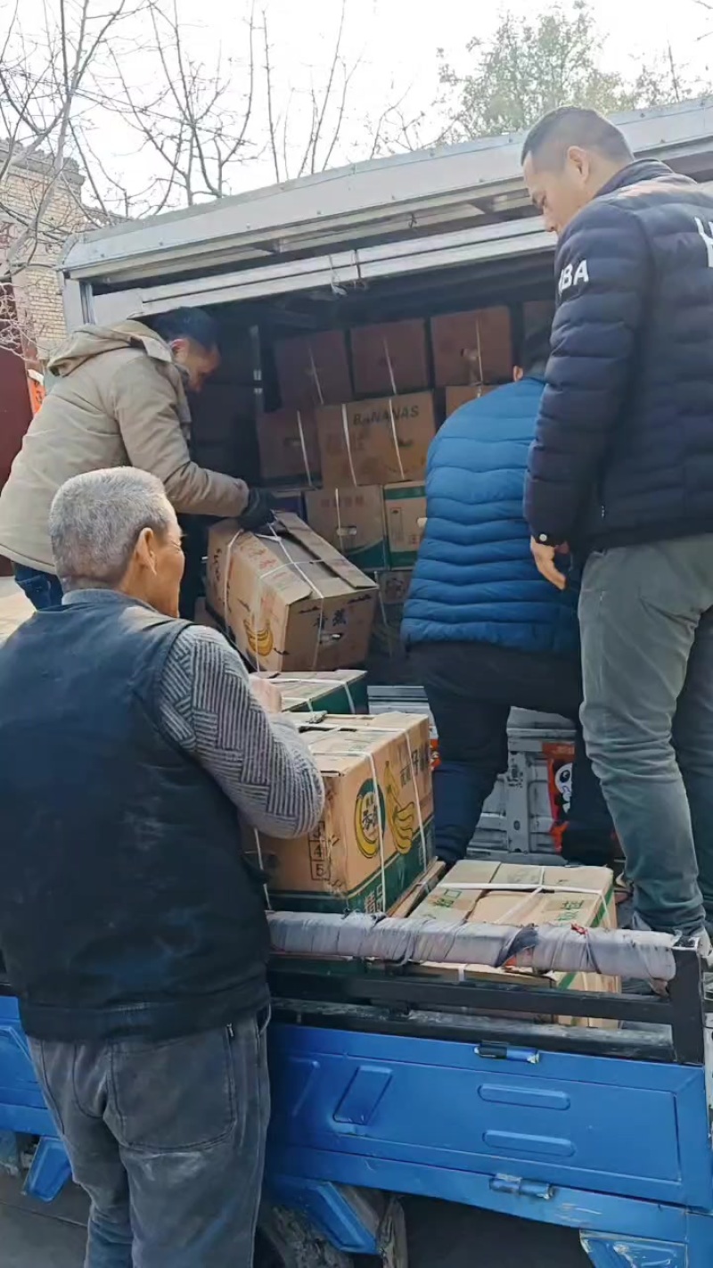 陕西超甜酥梨基地**价格低迷，货源充足。信誉果业热烈欢迎