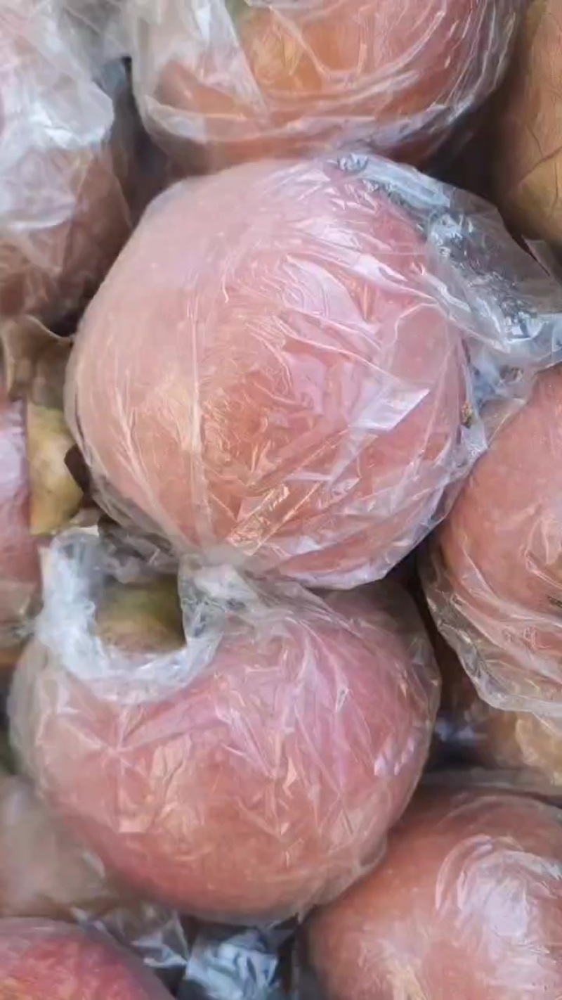 富士苹果
