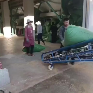 打包稻壳继续装货中