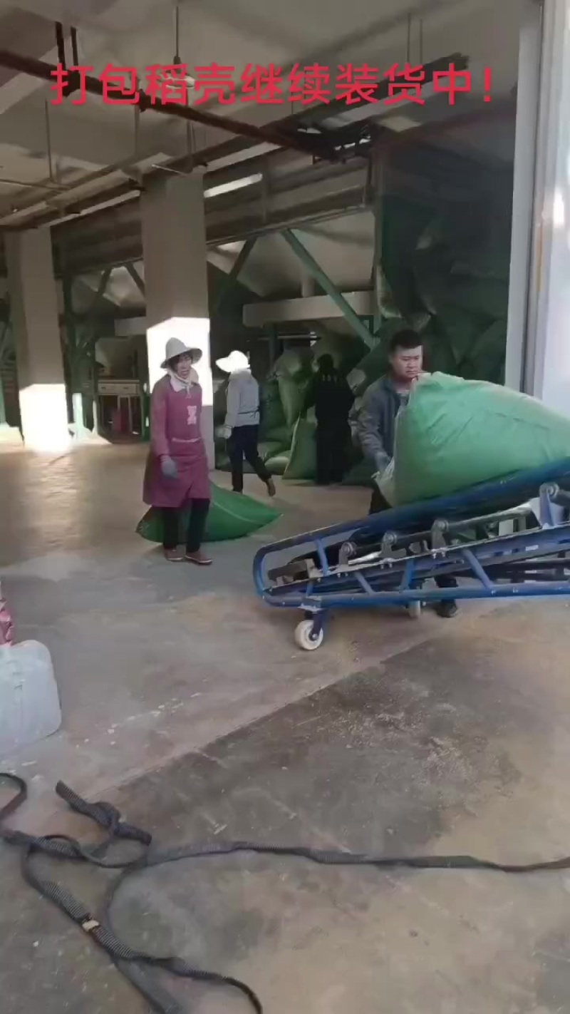 打包稻壳继续装货中