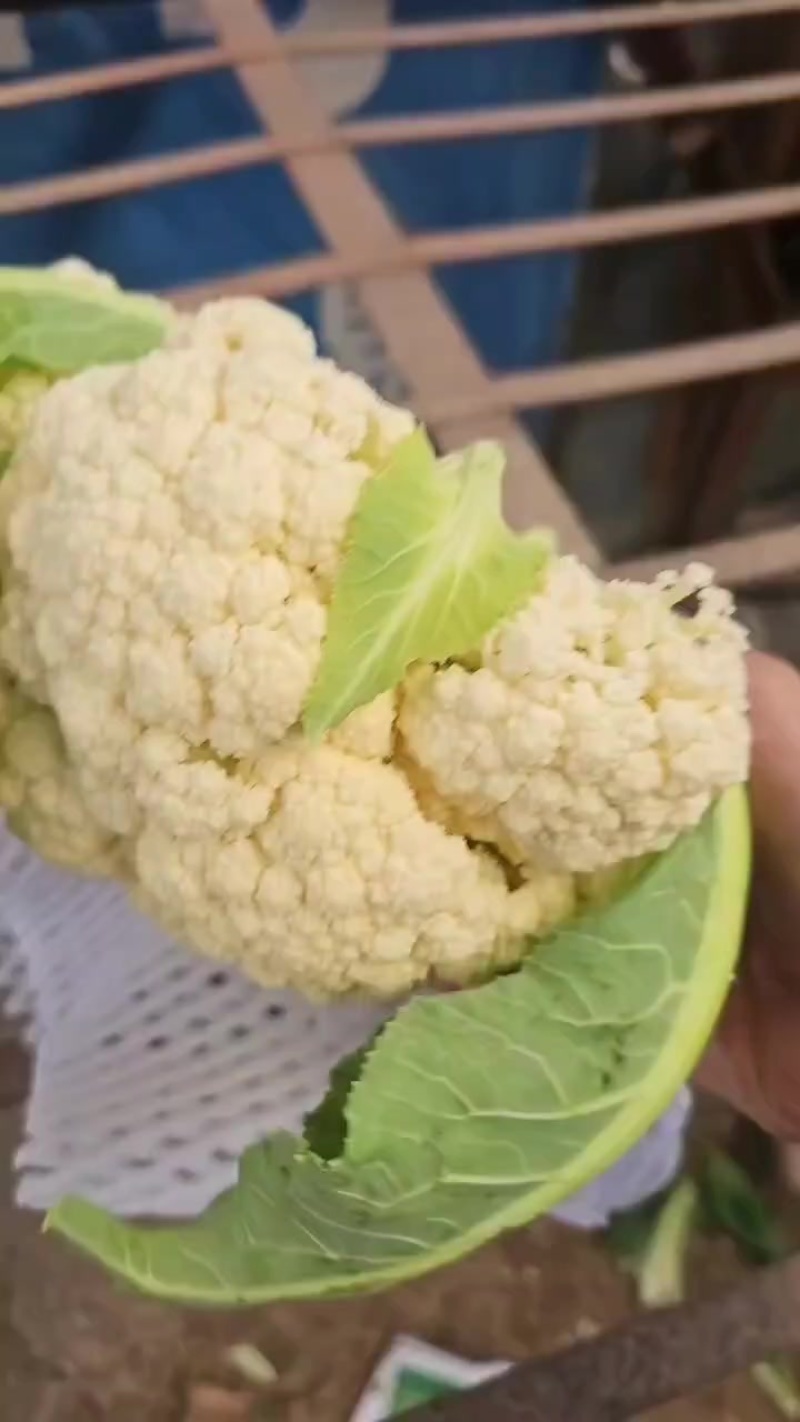 精品有机花菜大量现货供应