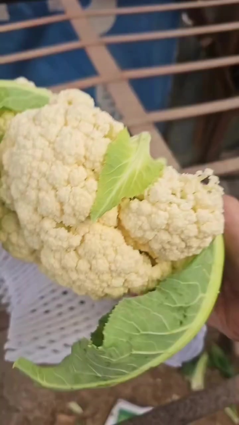 精品有机花菜大量现货供应
