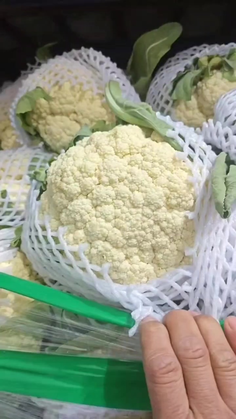精品有机花菜大量现货供应