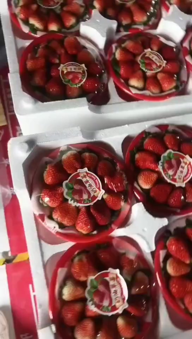 红颜草莓大量供应，对接供应链，商场，市场