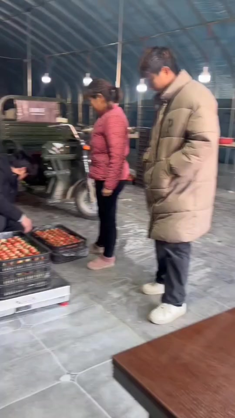 红颜草莓大量供应，对接供应链，商场，市场