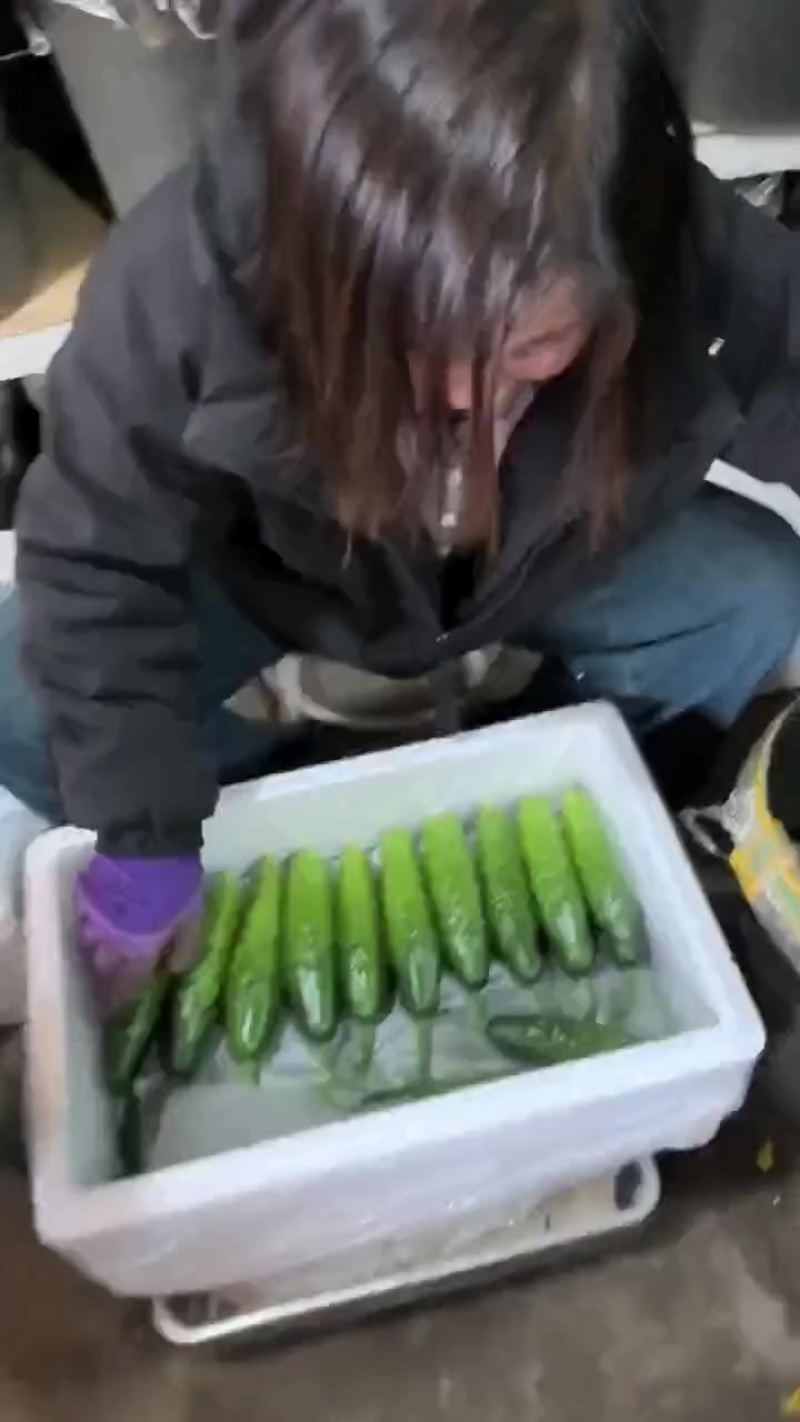 ）老辽宁精品旱黄瓜保证质量，价格便宜
