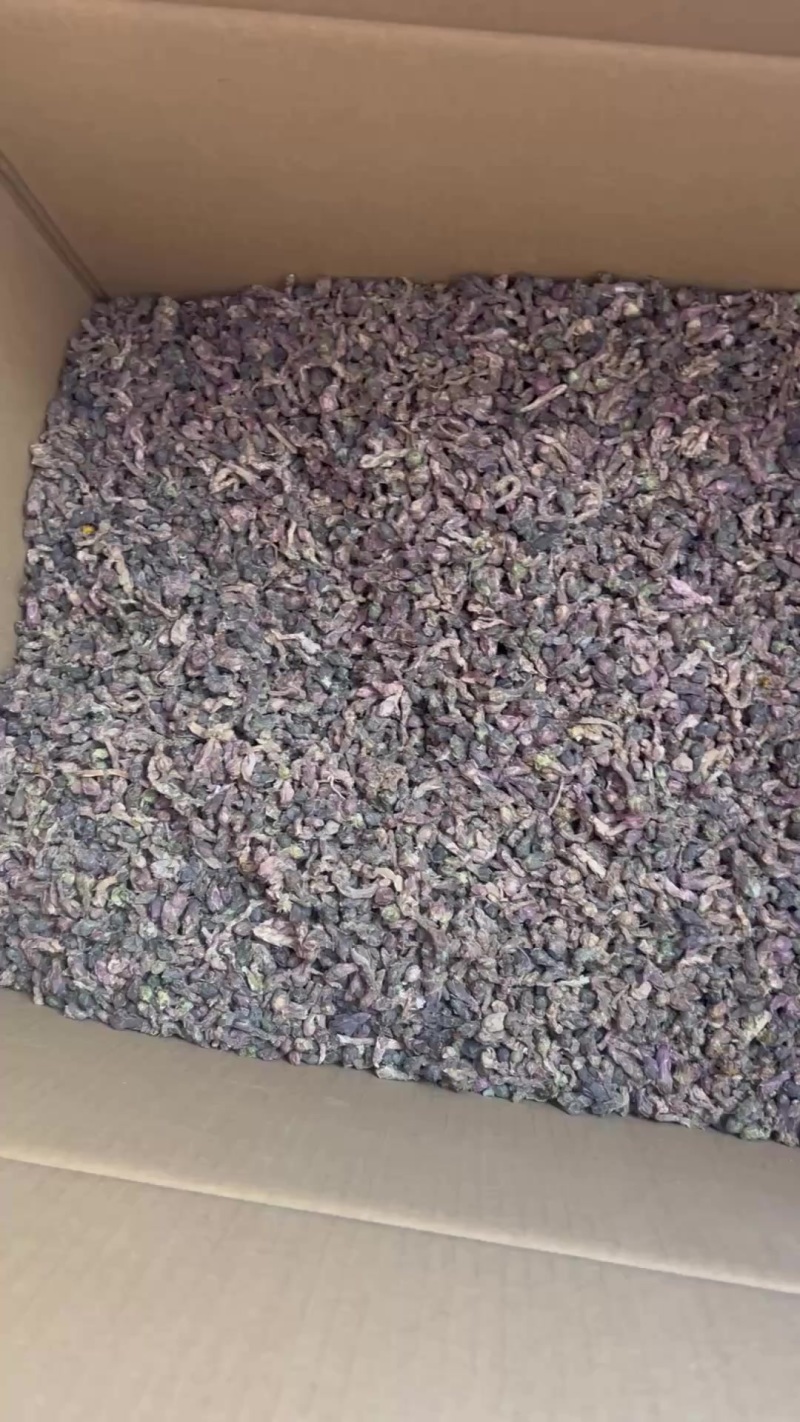 精选款冬花