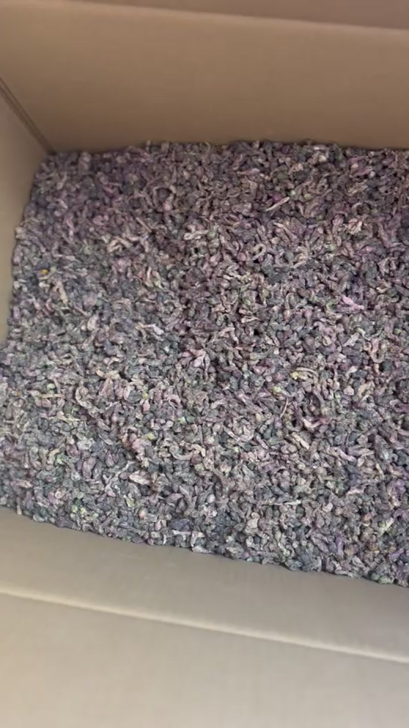 精选款冬花