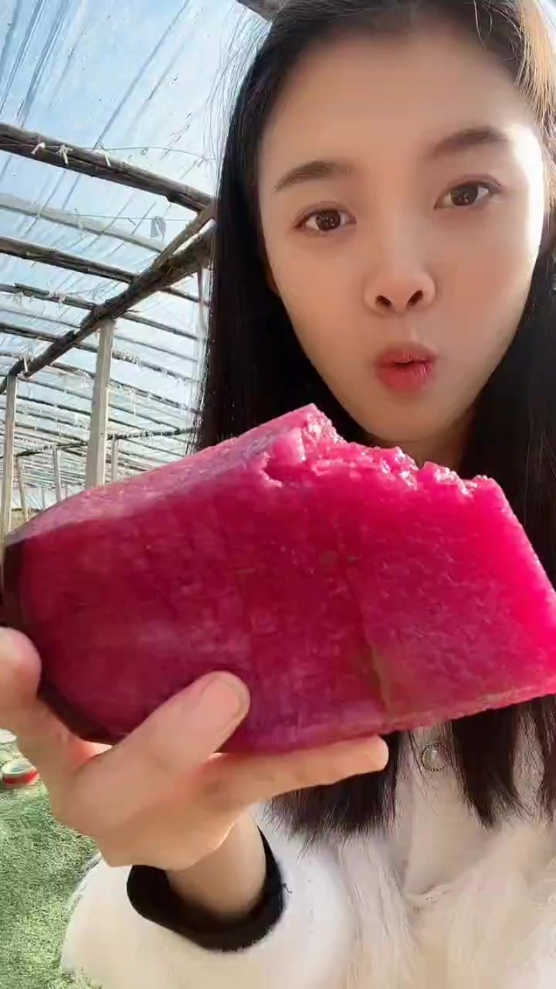 沙窝萝卜，凤梨紫美人萝卜，冰淇淋萝卜，金星萝卜，天星02