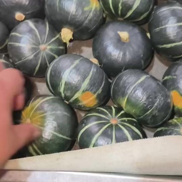 粉，糯，香，，甜