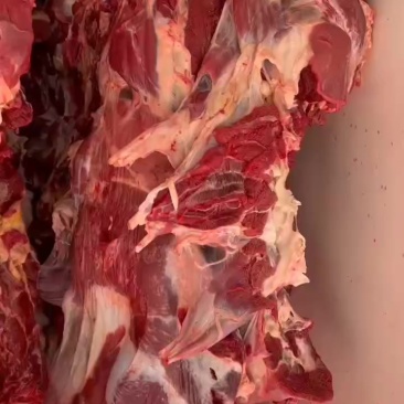 鲜牛肉批发22.5一斤纯干无水精修无油