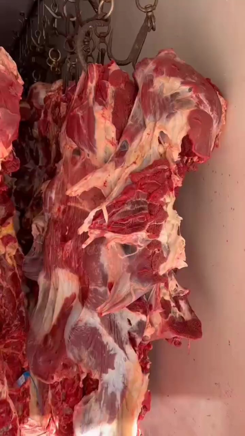 鲜牛肉批发22.5一斤纯干无水精修无油