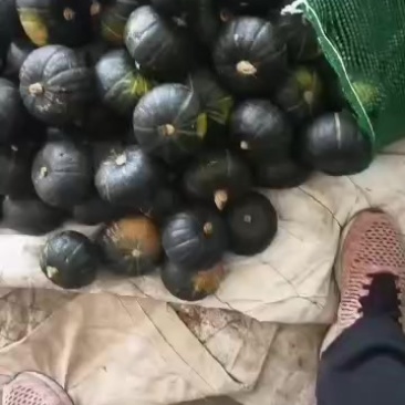 新鲜贝贝南瓜，口感细腻，营养丰富，皮毛黑亮，粉度好