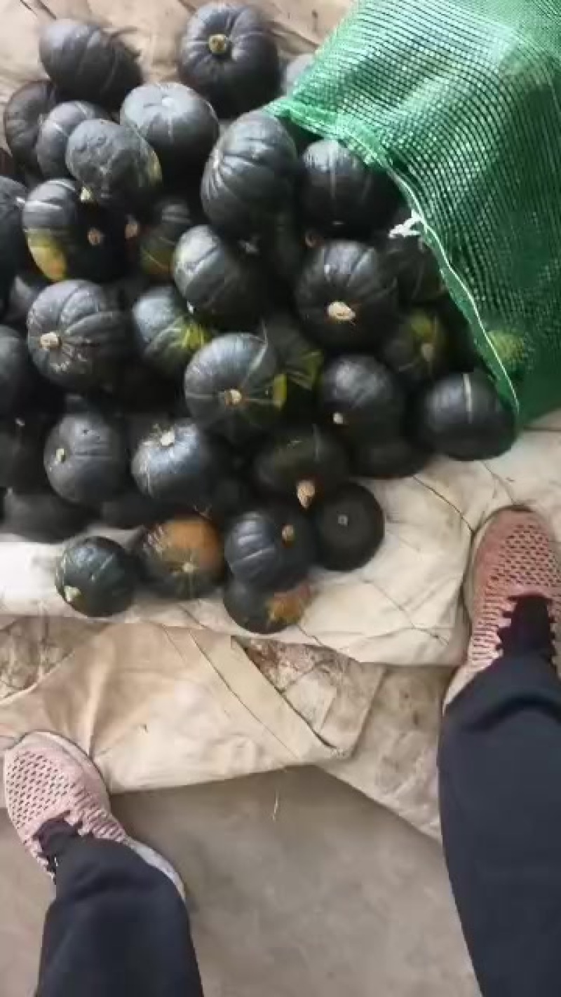新鲜贝贝南瓜，口感细腻，营养丰富，皮毛黑亮，粉度好