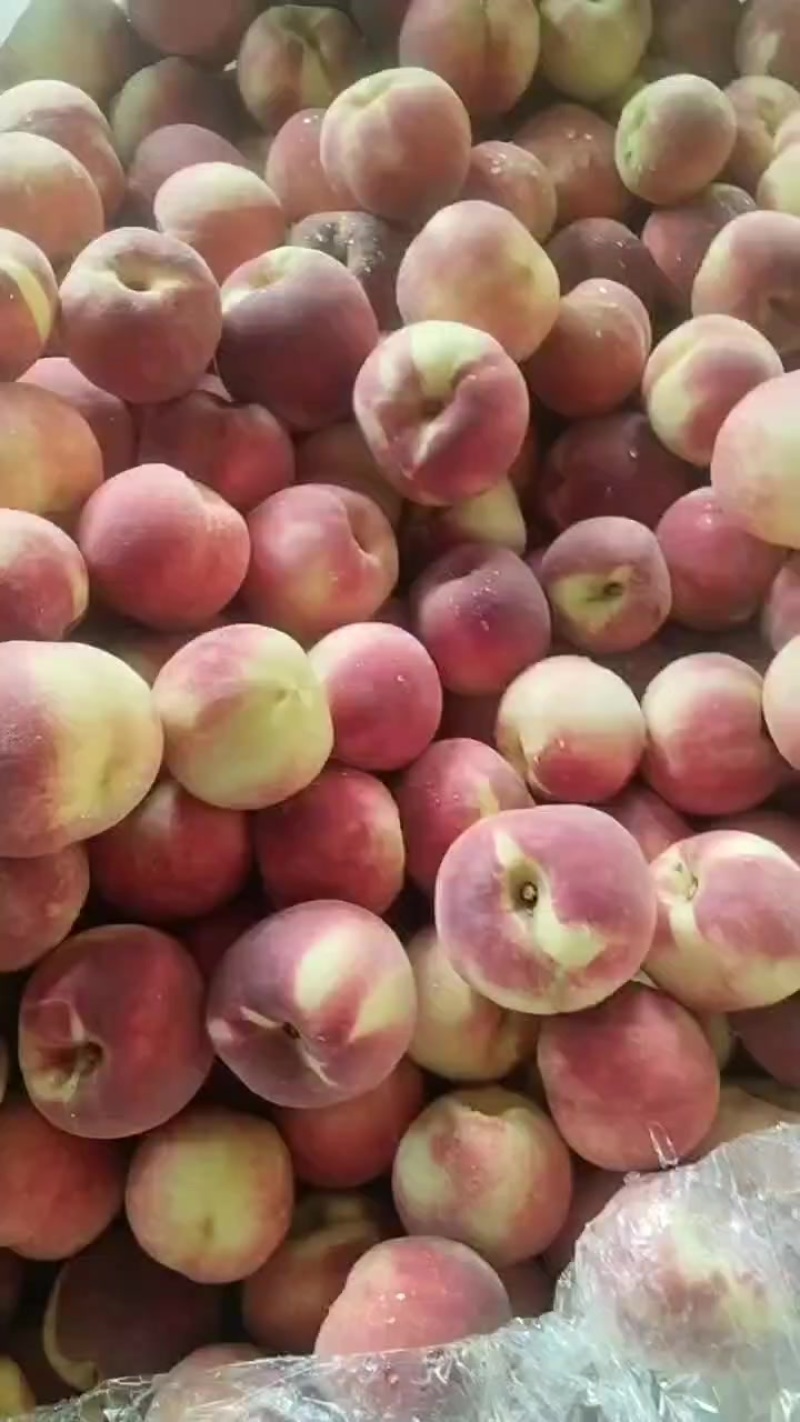 精品毛桃八千斤，口感表光杠杠的