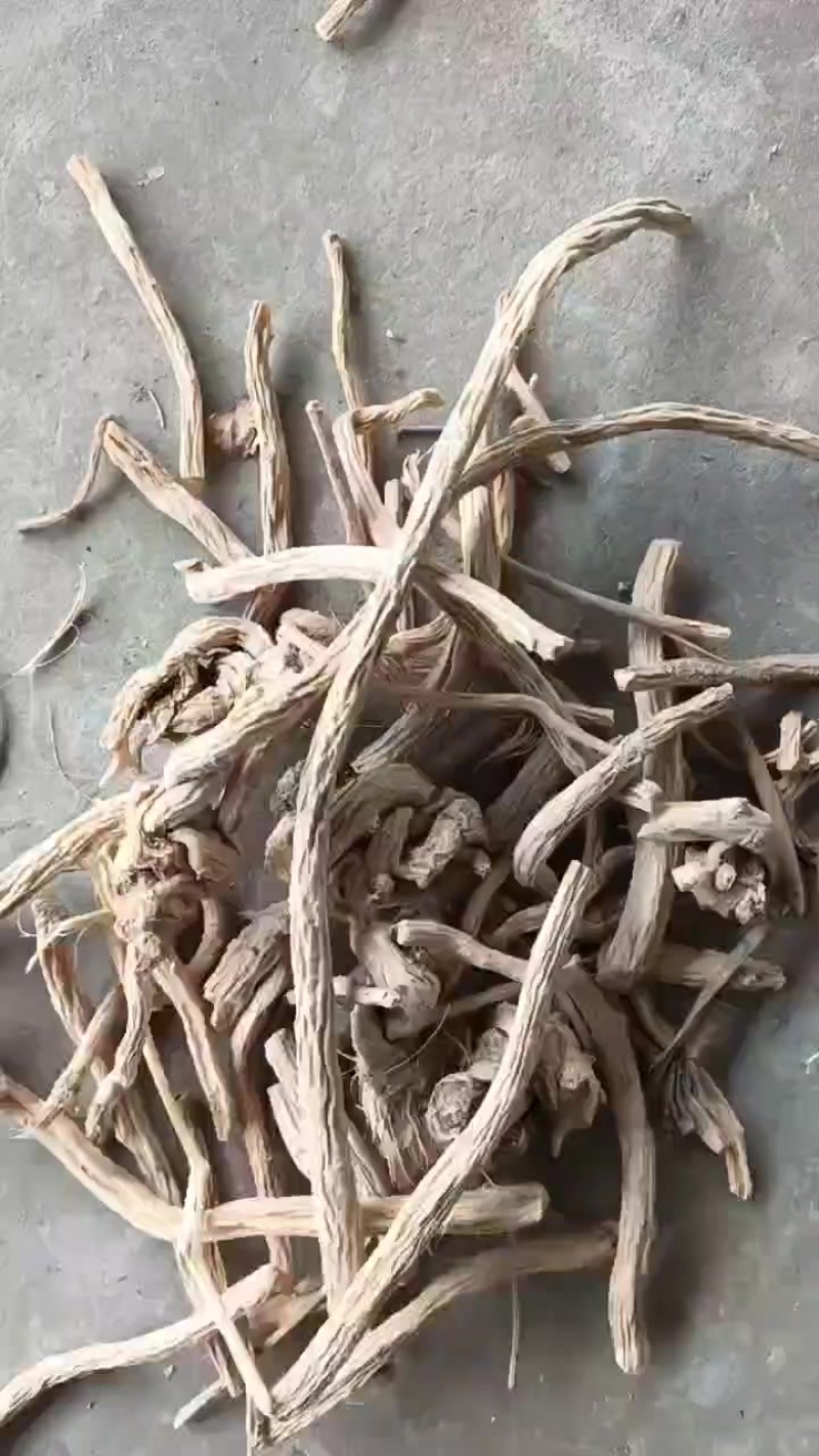中药材防风新货，含量够，30吨现货，药厂专用